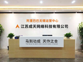 無錫阿里巴巴運營 網絡技術服務的創(chuàng)新與實踐