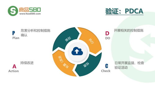餐飲業食品安全管理體系詳解 從后廚到餐桌的實操圖解與關鍵控制點